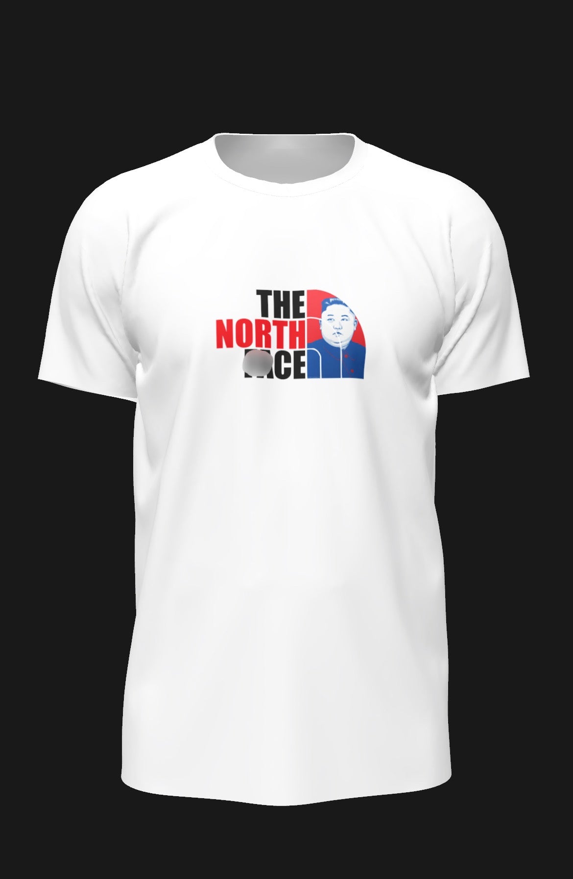 the north face