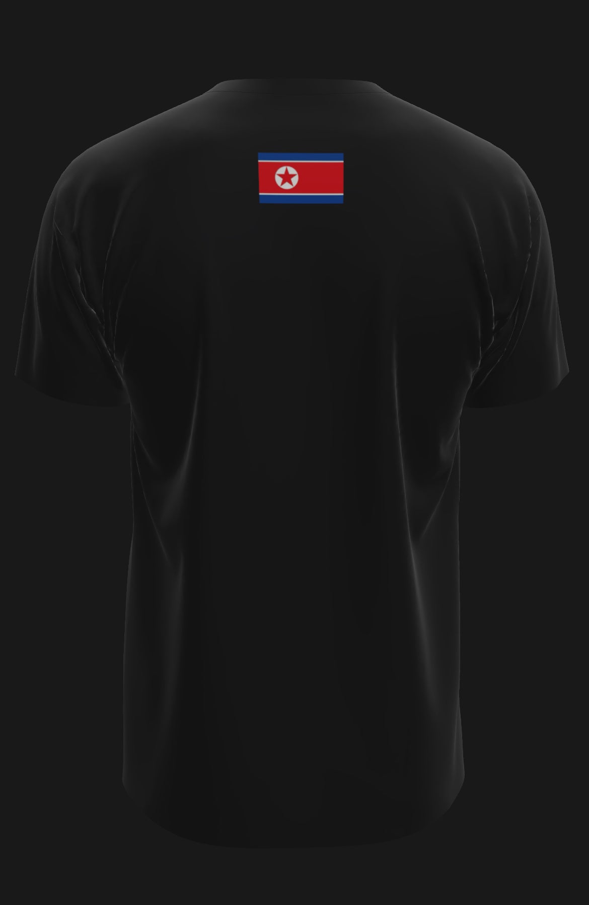 the north face